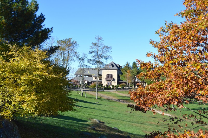 Chateau Morrisette Winery in October