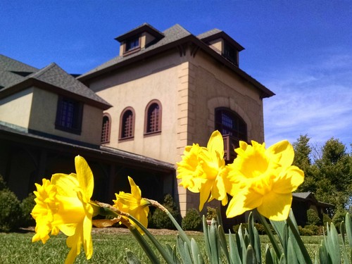 Chateau Morrisette Winery in April