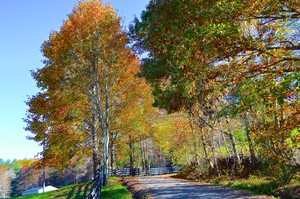 Discover the backroads for a truly remarkable mountain adventure