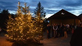 Chateau Morrisette Winery tree lighting