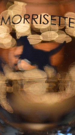 New Year's Eve Dinner Image