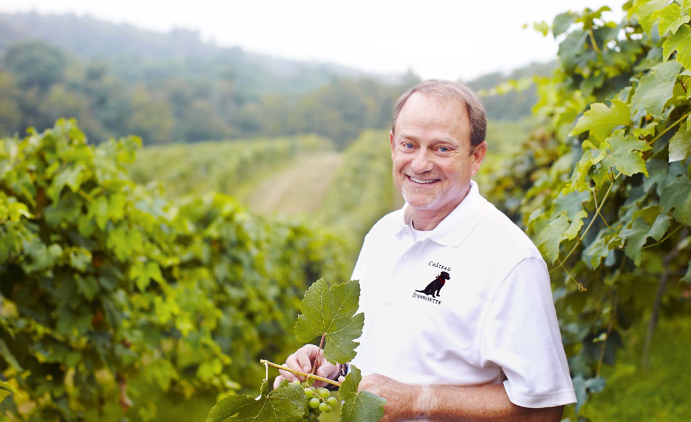 David Morrisette profile