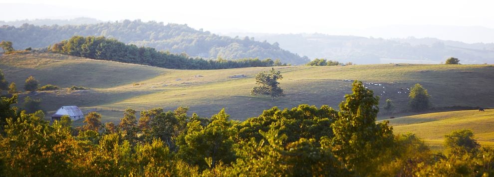 Chateau Morrisette summer overlook