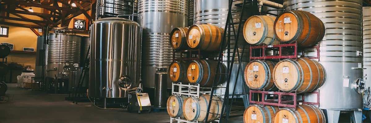 Wine 101 class at Chateau Morrisette